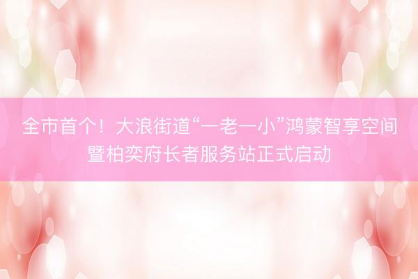 全市首个！大浪街道“一老一小”鸿蒙智享空间暨柏奕府长者服务站正式启动