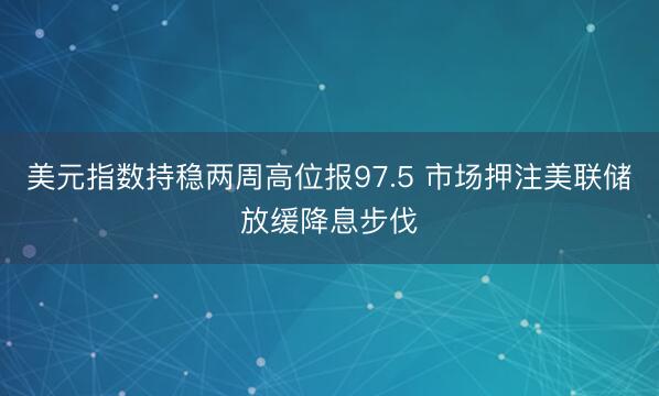 美元指数持稳两周高位报97.5 市场押注美联储放缓降息步伐