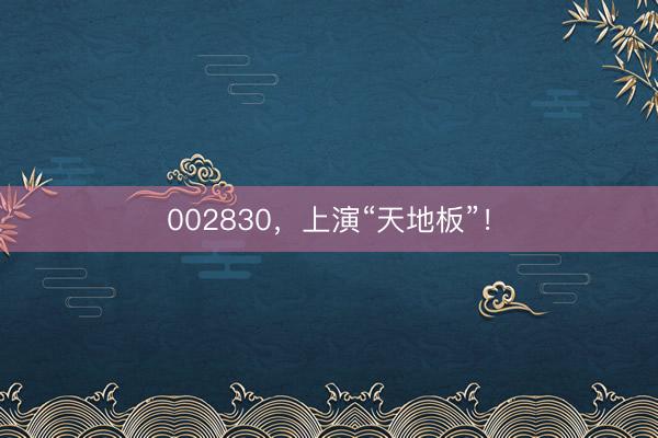 002830，上演“天地板”！
