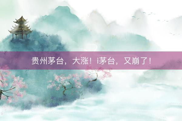 贵州茅台，大涨！i茅台，又崩了！