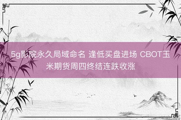5g影院永久局域命名 逢低买盘进场 CBOT玉米期货周四终结连跌收涨
