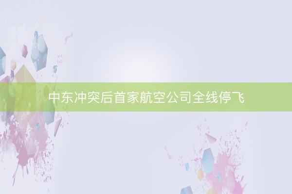 中东冲突后首家航空公司全线停飞