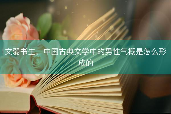 文弱书生，中国古典文学中的男性气概是怎么形成的