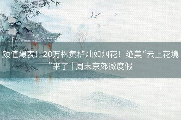 颜值爆表！20万株黄栌灿如烟花！绝美“云上花境”来了 | 周末京郊微度假