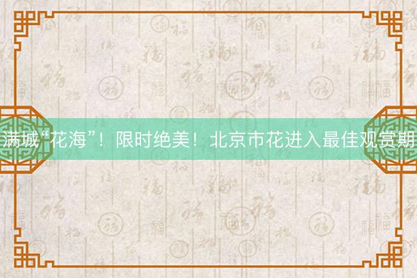 满城“花海”！限时绝美！北京市花进入最佳观赏期