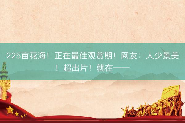 225亩花海！正在最佳观赏期！网友：人少景美！超出片！就在——