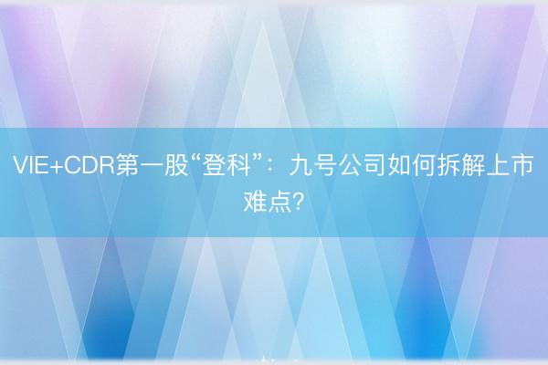 VIE+CDR第一股“登科”：九号公司如何拆解上市难点？