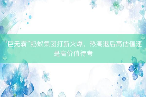 “巨无霸”蚂蚁集团打新火爆，热潮退后高估值还是高价值待考