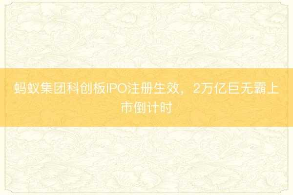 蚂蚁集团科创板IPO注册生效，2万亿巨无霸上市倒计时