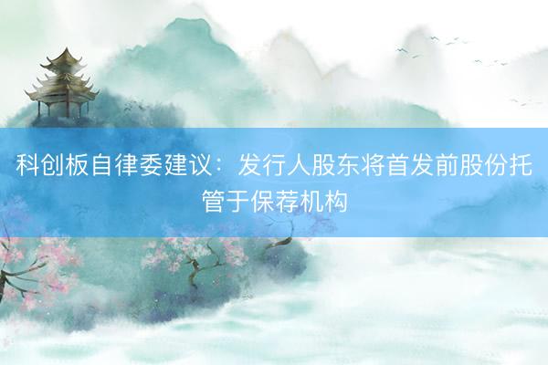 科创板自律委建议：发行人股东将首发前股份托管于保荐机构