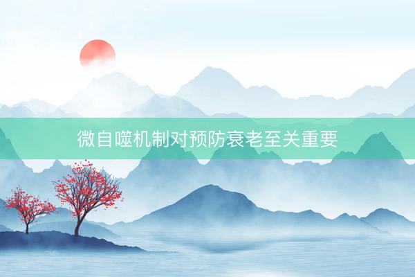 微自噬机制对预防衰老至关重要