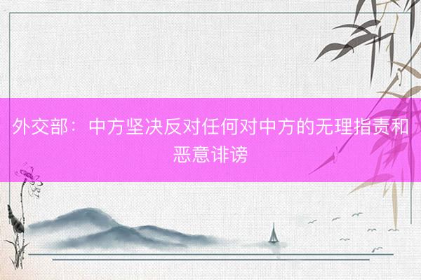 外交部：中方坚决反对任何对中方的无理指责和恶意诽谤