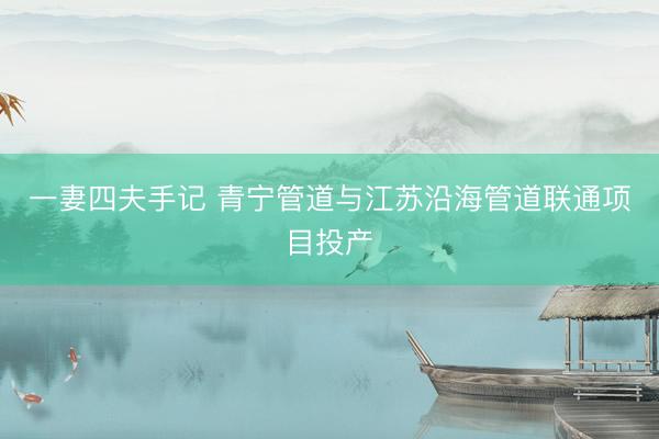 一妻四夫手记 青宁管道与江苏沿海管道联通项目投产
