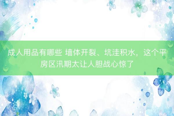 成人用品有哪些 墙体开裂、坑洼积水，这个平房区汛期太让人胆战心惊了