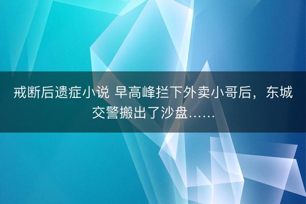 戒断后遗症小说 早高峰拦下外卖小哥后，东城交警搬出了沙盘……