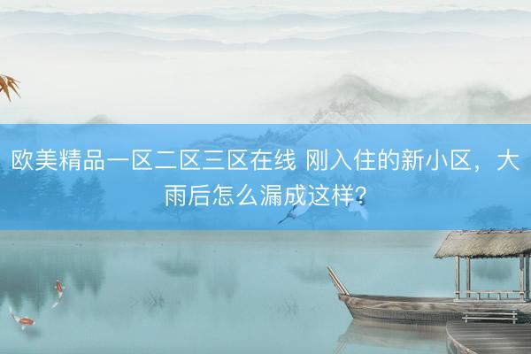 欧美精品一区二区三区在线 刚入住的新小区，大雨后怎么漏成这样？