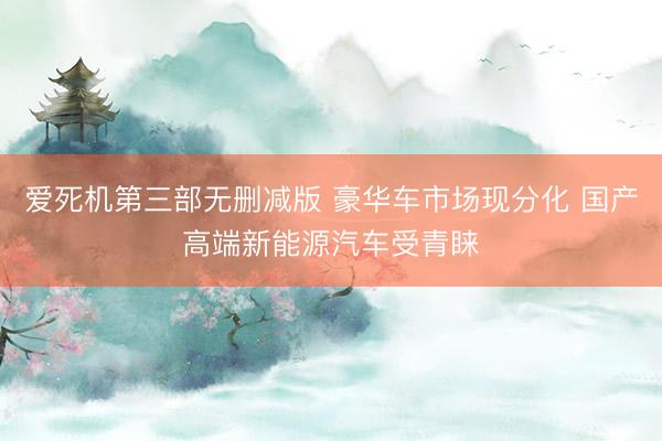 爱死机第三部无删减版 豪华车市场现分化 国产高端新能源汽车受青睐