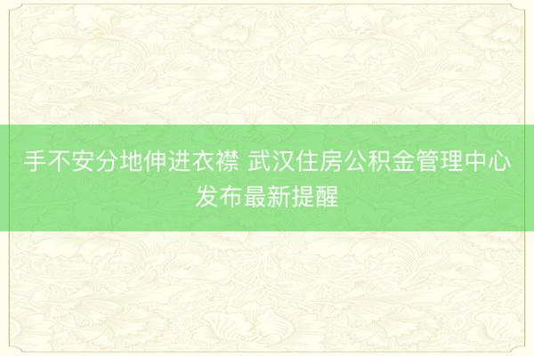 手不安分地伸进衣襟 武汉住房公积金管理中心发布最新提醒