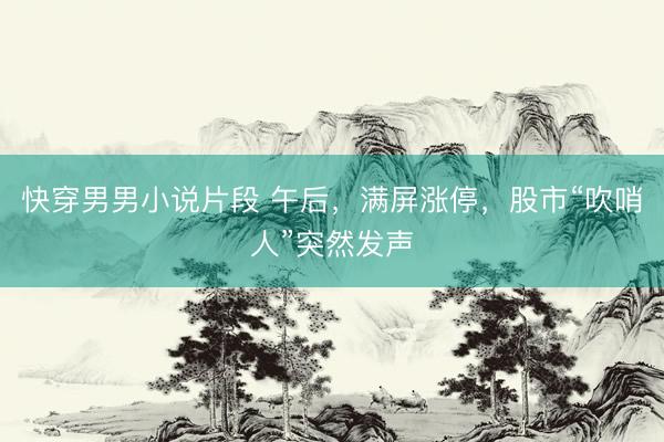 快穿男男小说片段 午后，满屏涨停，股市“吹哨人”突然发声