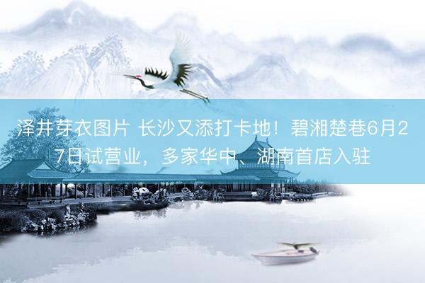 泽井芽衣图片 长沙又添打卡地！碧湘楚巷6月27日试营业，多家华中、湖南首店入驻