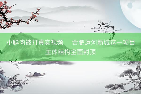 小鲜肉被打真实视频 ​合肥运河新城这一项目主体结构全面封顶