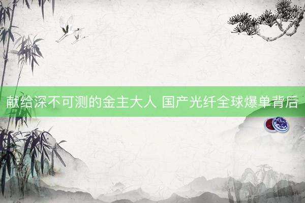 献给深不可测的金主大人 国产光纤全球爆单背后