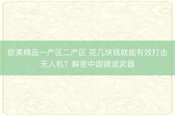欧美精品一产区二产区 花几块钱就能有效打击无人机？解密中国微波武器