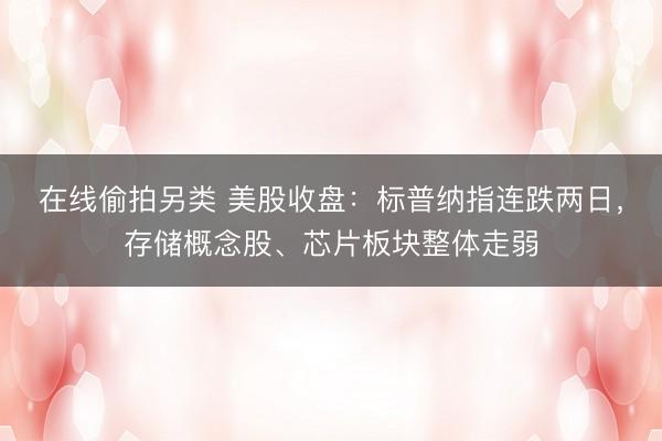 在线偷拍另类 美股收盘：标普纳指连跌两日，存储概念股、芯片板块整体走弱