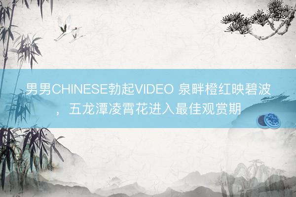 男男CHINESE勃起VIDEO 泉畔橙红映碧波，五龙潭凌霄花进入最佳观赏期