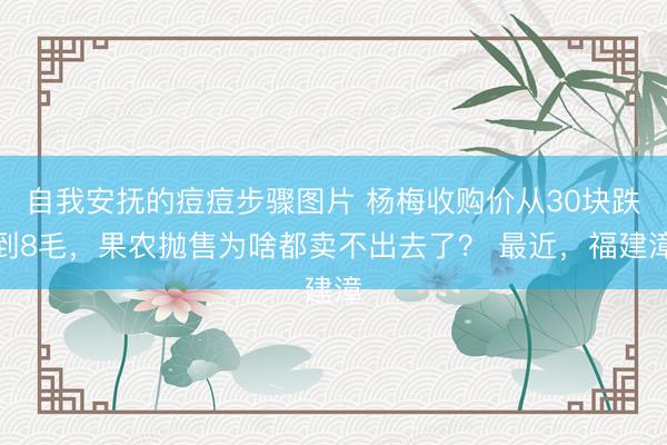自我安抚的痘痘步骤图片 杨梅收购价从30块跌到8毛,果农抛售为啥都卖不出去了? 最近,福建漳