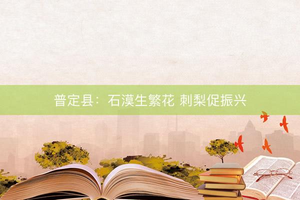 普定县：石漠生繁花 刺梨促振兴