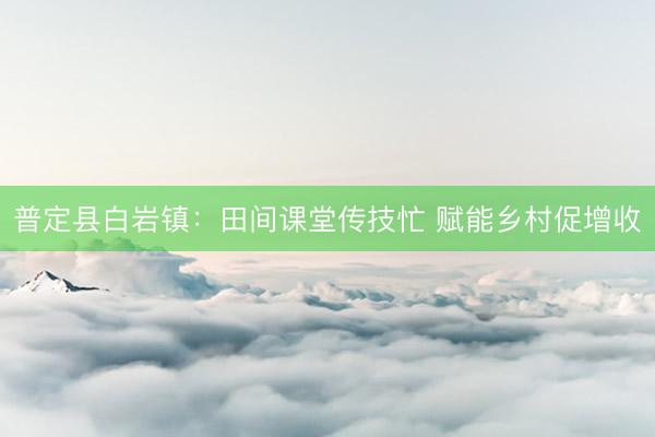 普定县白岩镇：田间课堂传技忙 赋能乡村促增收