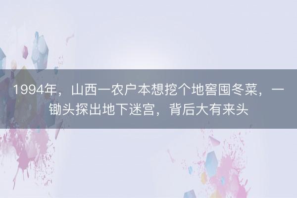 1994年，山西一农户本想挖个地窖囤冬菜，一锄头探出地下迷宫，背后大有来头