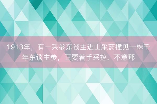 1913年，有一采参东谈主进山采药撞见一株千年东谈主参，正要着手采挖，不意那