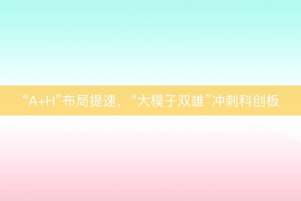 “A+H”布局提速，“大模子双雄”冲刺科创板
