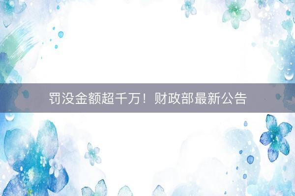 罚没金额超千万！财政部最新公告