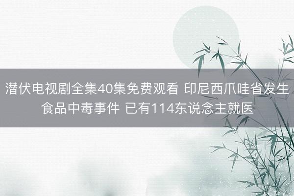 潜伏电视剧全集40集免费观看 印尼西爪哇省发生食品中毒事件 已有114东说念主就医