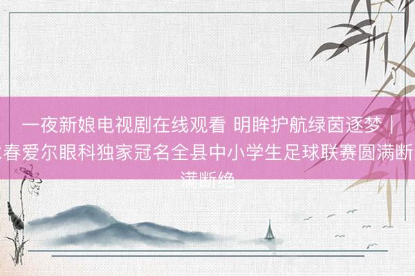 一夜新娘电视剧在线观看 明眸护航绿茵逐梦｜永春爱尔眼科独家冠名全县中小学生足球联赛圆满断绝