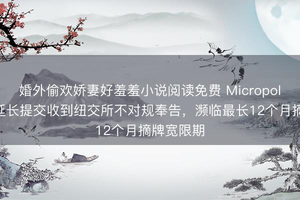 婚外偷欢娇妻好羞羞小说阅读免费 Micropolis因年报延长提交收到纽交所不对规奉告，濒临最长12个月摘牌宽限期