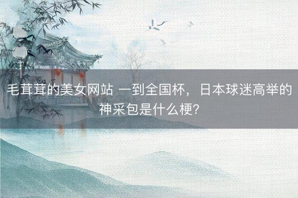 毛茸茸的美女网站 一到全国杯，日本球迷高举的神采包是什么梗？