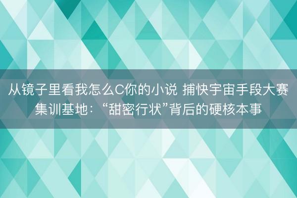 从镜子里看我怎么C你的小说 捕快宇宙手段大赛集训基地:“甜密行状”背后的硬核本事