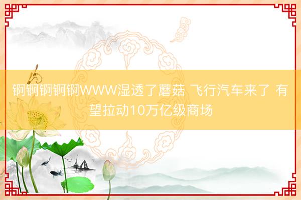 锕锕锕锕锕WWW湿透了蘑菇 飞行汽车来了 有望拉动10万亿级商场