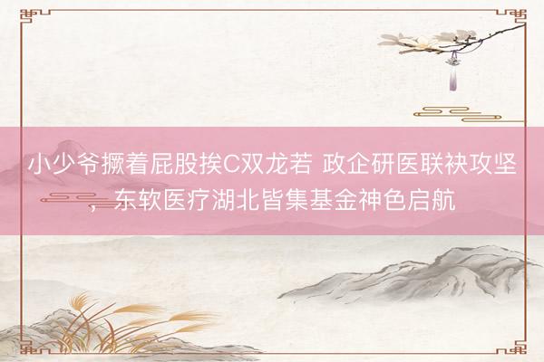 小少爷撅着屁股挨C双龙若 政企研医联袂攻坚，东软医疗湖北皆集基金神色启航