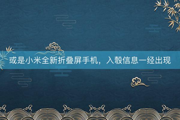 或是小米全新折叠屏手机，入彀信息一经出现
