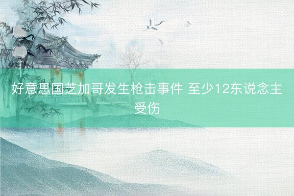 好意思国芝加哥发生枪击事件 至少12东说念主受伤