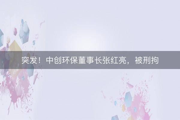 突发！中创环保董事长张红亮，被刑拘