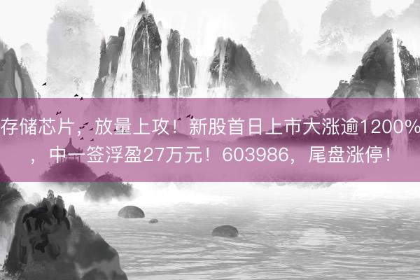 存储芯片，放量上攻！新股首日上市大涨逾1200%，中一签浮盈27万元！603986，尾盘涨停！