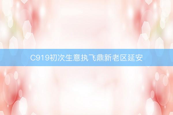 C919初次生意执飞鼎新老区延安